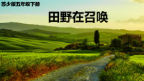 音乐【苏少版】五年级下册《唱：田野在召唤 红蜻蜓》PPT课件3