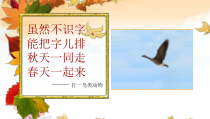 音乐【苏少版】一年级上册《唱：小树叶 雁儿飞》PPT课件2