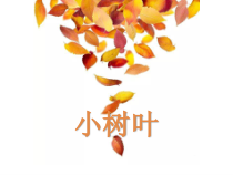 音乐【苏少版】一年级上册《唱：小树叶 雁儿飞》PPT课件1