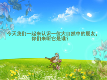 音乐【苏少版】一年级下册《小松树》PPT课件2(共8页)