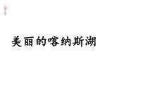音乐五年级下册【苏少版】《美丽的喀纳斯湖》PPT课件 (共11页)