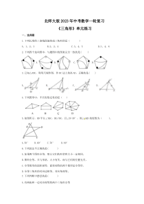 北师大版2023年中考数学一轮复习《三角形》单元练习（含答案） 