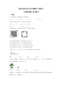 北师大版2023年中考数学一轮复习《勾股定理》单元练习（含答案）