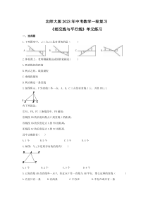 北师大版2023年中考数学一轮复习《相交线与平行线》单元练习（含答案） 
