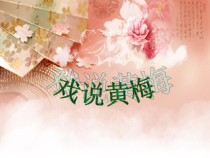 音乐【苏少版】（五线谱）三下《听：赶花会 对花》PPT课件1