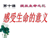 《感受生命的意义》PPT课件2-统编五四制六年级全册道德与法治