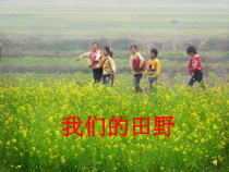音乐【苏少版】（五线谱）四下《唱：五月的夜晚 我们的田野》PPT课件3