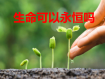 《生命可以永恒吗》PPT课件4-统编五四制六年级全册道德与法治