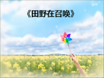 音乐【苏少版】（五线谱）五下《唱：田野在召唤 红蜻蜓》PPT课件3