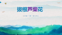 音乐【苏少版】（五线谱）五下《唱：拔根芦柴花 凤阳花鼓》PPT课件3