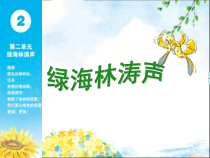 音乐【苏少版】（五线谱）五下《唱：银色的桦树林 绿色的祖国》PPT课件4