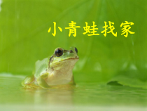音乐【湘艺版】一年级上册《（综合表演）小青蛙找家》PPT课件2