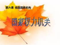 《国家权力机关》PPT课件4-统编五四制八年级下册道德与法治