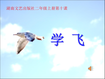音乐【湘艺版】二年级上册《（歌表演）学飞》PPT课件1