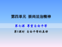 《自由平等的真谛》PPT课件5-统编五四制八年级下册道德与法治