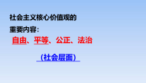 《自由平等的真谛》PPT课件4-统编五四制八年级下册道德与法治