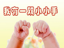 音乐【西师大版】一年级上册《我有一双小小手》PPT课件2