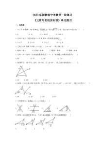 2023年浙教版中考数学一轮复习《三角形的初步知识》单元练习（含答案） 