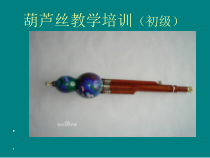 音乐【湘艺版】六年级上册《（认识乐器）葫芦丝》PPT课件2