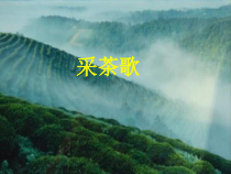 音乐【湘艺版】六年级上册《（听赏）采茶歌》PPT课件1