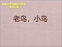 音乐【湘艺版】六年级上册《（演唱）老鸟，小鸟》PPT课件3