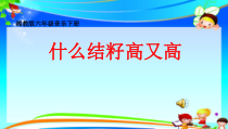 音乐【湘艺版】六年级下册《（演唱）什么结籽高又高》PPT课件2