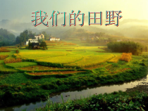 音乐【湘艺版】六年级下册《（演唱）我们的田野》PPT课件1