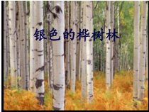 音乐【湘艺版】三年级上册《（演唱）银色的桦树林》PPT课件1