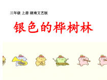 音乐【湘艺版】三年级上册《（演唱）银色的桦树林》PPT课件2