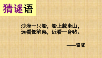 音乐【湘艺版】三年级下册《（演唱）小骆驼》PPT课件1