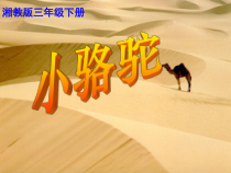 音乐【湘艺版】三年级下册《（演唱）小骆驼》PPT课件6