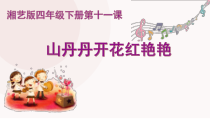 音乐【湘艺版】四年级下册《（听赏）山丹丹开花红艳艳》PPT课件2