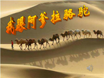 音乐【湘艺版】五年级上册《（演唱）我跟阿爹拉骆驼》PPT课件3