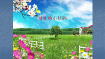 音乐【湘艺版】三年级下册2《顽皮的小杜鹃》PPT课件(共10页)