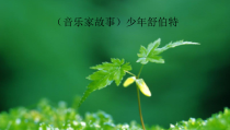 音乐【湘艺版】四年级下册6《少年舒伯特》PPT课件(共12页)