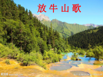 音乐【西师大版】三年级下册《放牛山歌》PPT课件1
