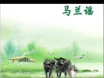 音乐【西师大版】三年级下册《马兰谣》PPT课件4