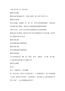 科学【人教鄂教版】一年级上册2《袋子里有什么》教学设计1