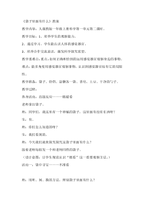 科学【人教鄂教版】一年级上册2《袋子里有什么》教学设计3