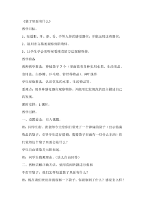 科学【人教鄂教版】一年级上册2《袋子里有什么》教学设计4