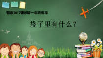 科学【人教鄂教版】一年级上册2《袋子里有什么》PPT课件（共15页）