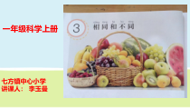 科学【人教鄂教版】一年级上册3《相同与不同》PPT课件（共14页）