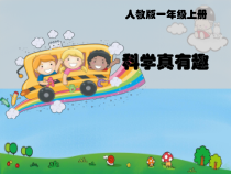 科学【人教鄂教版】一年级上册1《科学真有趣》PPT课件（共13页）