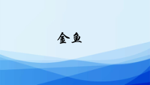 科学【人教鄂教版】一年级上册5《金鱼》PPT课件1（共10页）
