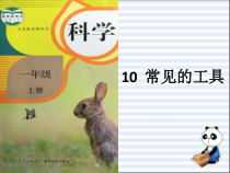 科学【人教鄂教版】一年级上册10《常见的工具》PPT课件（共15页）