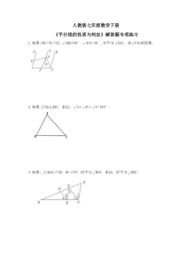 人教版七年级数学下册《平行线的性质与判定》解答题专项练习(含答案)