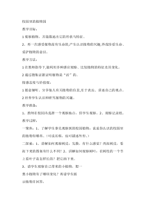 科学【人教鄂教版】一年级下册3《校园里的植物园》教学设计2