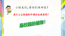 科学【人教鄂教版】一年级下册3《校园里的植物园》PPT课件（共9页）