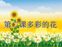 科学【人教鄂教版】一年级下册2《多彩的花》PPT课件（共32页）