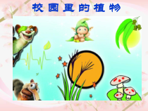 科学【人教鄂教版】一年级下册3《校园里的植物园》PPT课件（共12页）